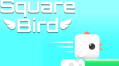 Square Bird